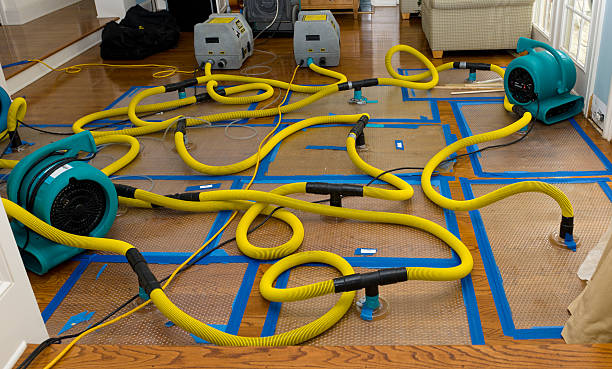Professional Water Extraction technician working in Adams, TN